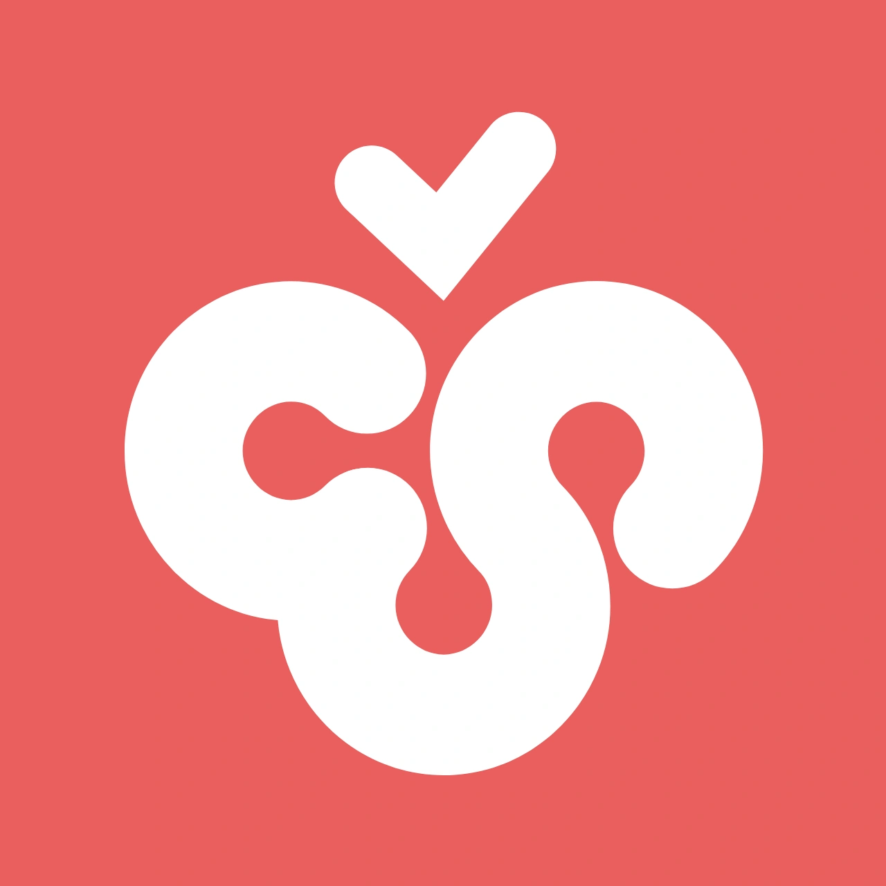 Cherry Studio